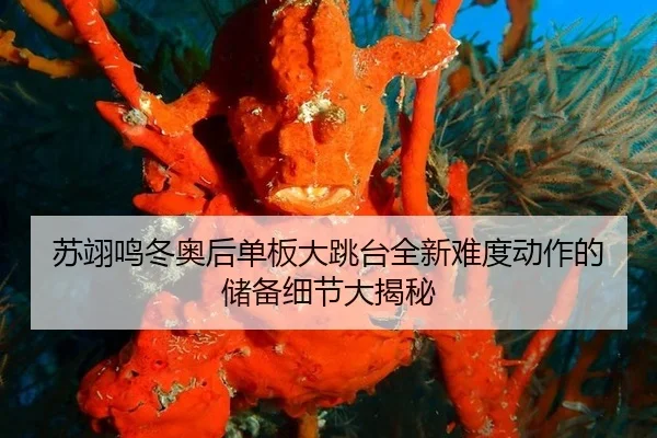 su-yi-ming-dong-ao-hou-dan-ban-da-tiao-tai-quan-xin-nan-du-dong-zuo-de-chu-bei-xi-jie-da-jie-mi-2-325.jpg